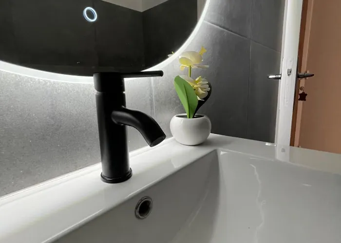 Apartment Luxueux Le Cannet